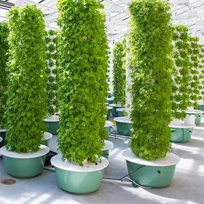 Hydroponic Tower - Systemy ogrodnicze aeroponiczne z wieżami i