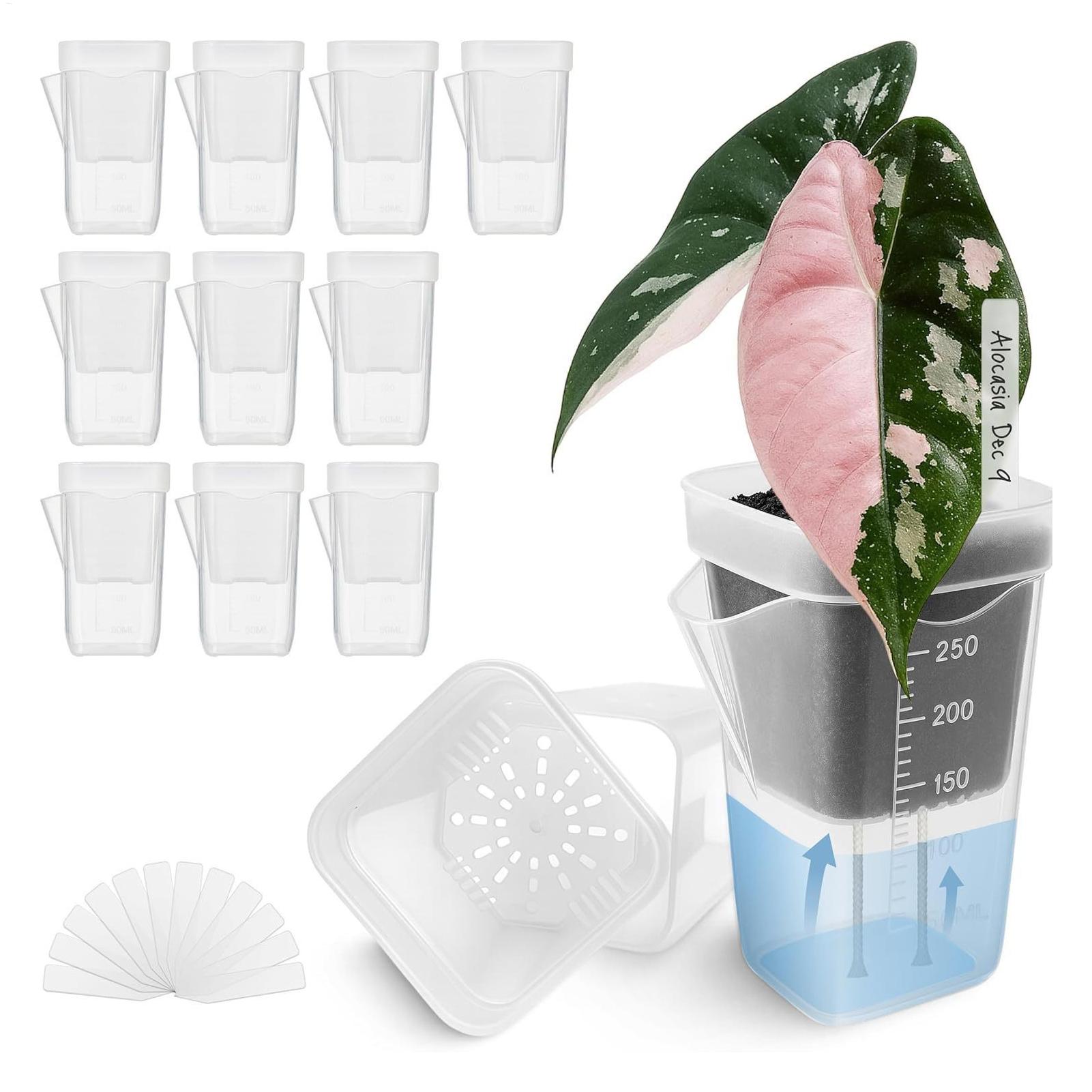 Hydroponic Grow Pod - 10 sztuk przezroczystych doniczek do roślin