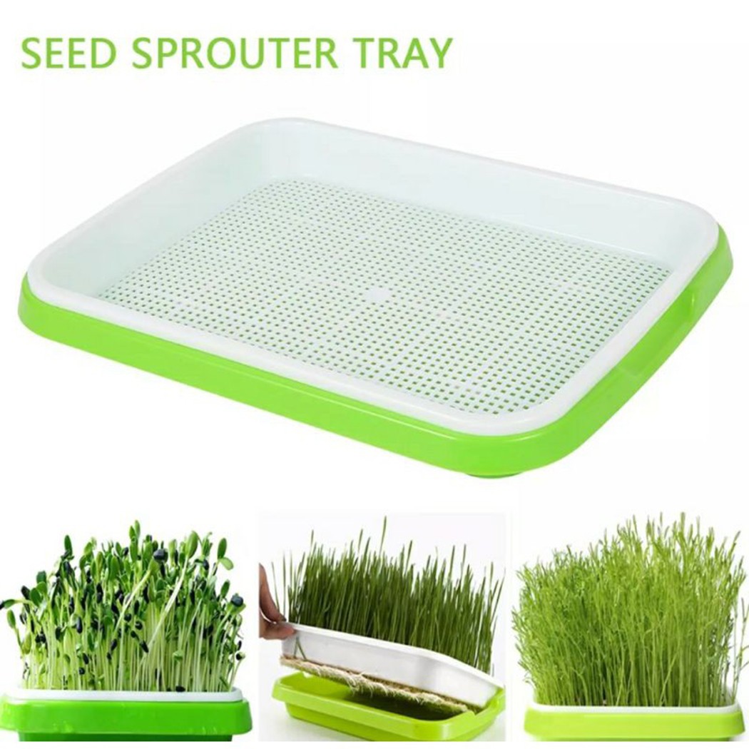 Hydroponic Grow Pod - Taca na kiełki Microgreens Hydroponiczna /
