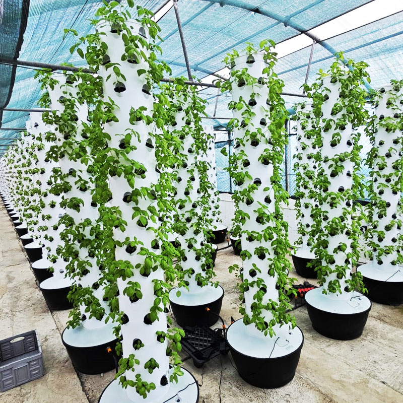 Hydroponic Tower - Wysokiej jakości, łatwy w montażu, mały,