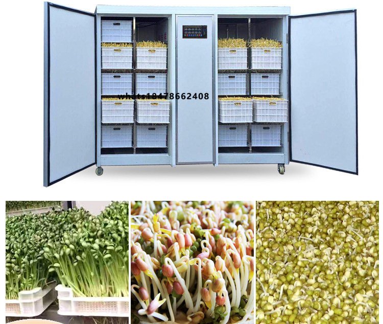 Automatic Watering - Inteligentna maszyna do uprawy wielośrodkowych kiełków