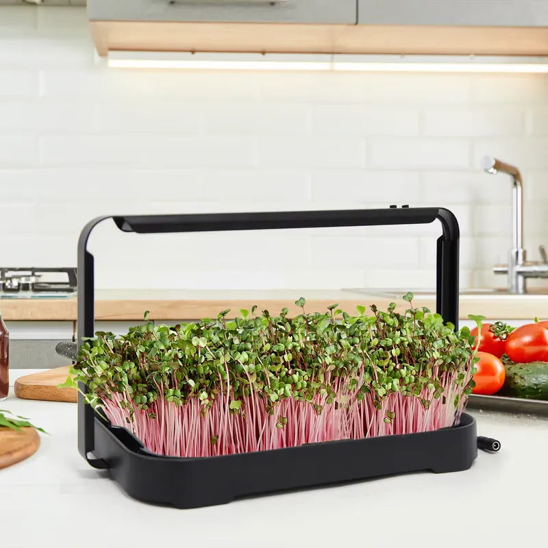 Indoor Garden Kit - Taca hydroponiczna do uprawy mikrolistków w
