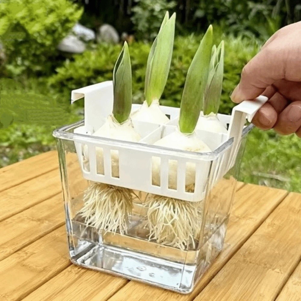 4-komorowe doniczki hydroponic – Hydroponic Grow Pod recenzja i cena