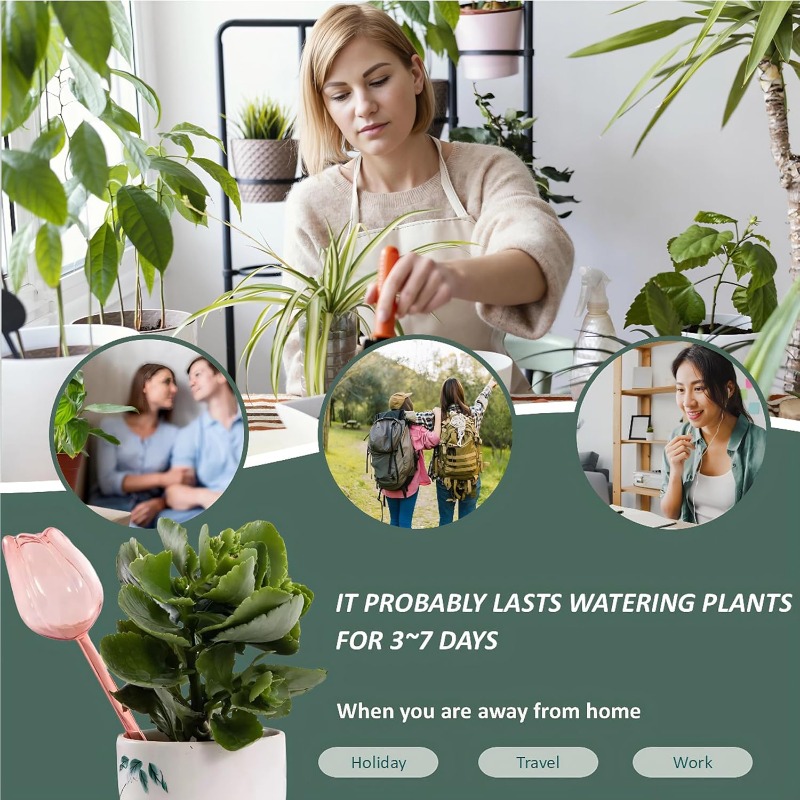 Różowe kulki do podlewania roś – Plant Sensor recenzja i cena