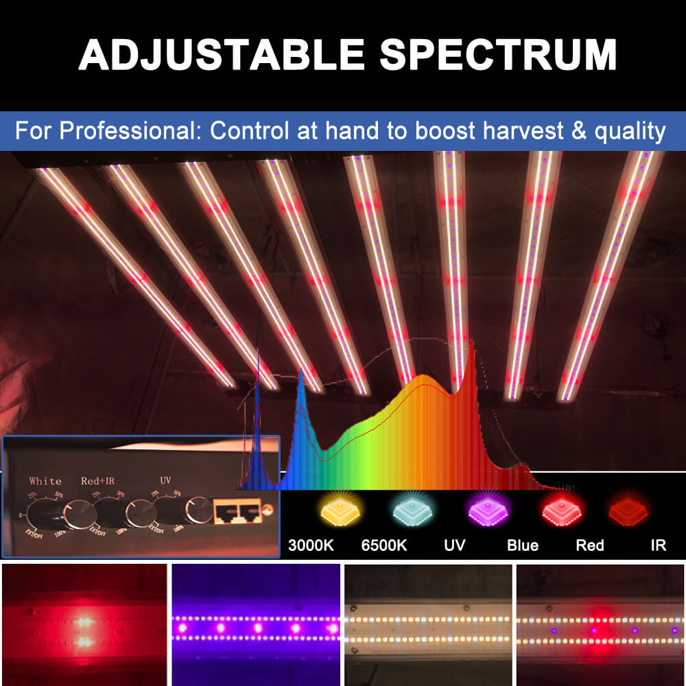 Amerykańskie lampy LED do upra – Grow Light Led recenzja i cena