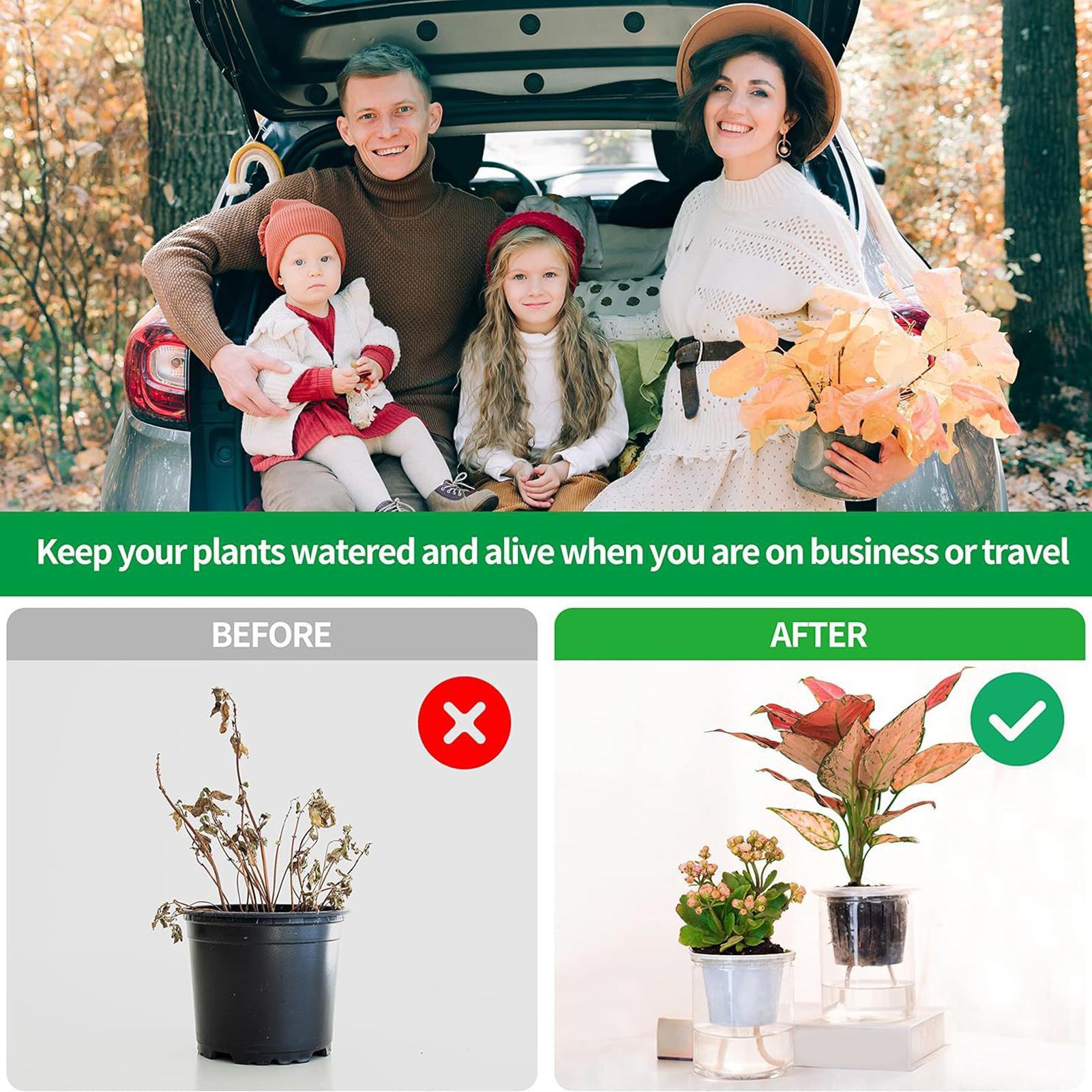 Wkłady do roślin do samodzieln – Self Watering Planter recenzja i cena