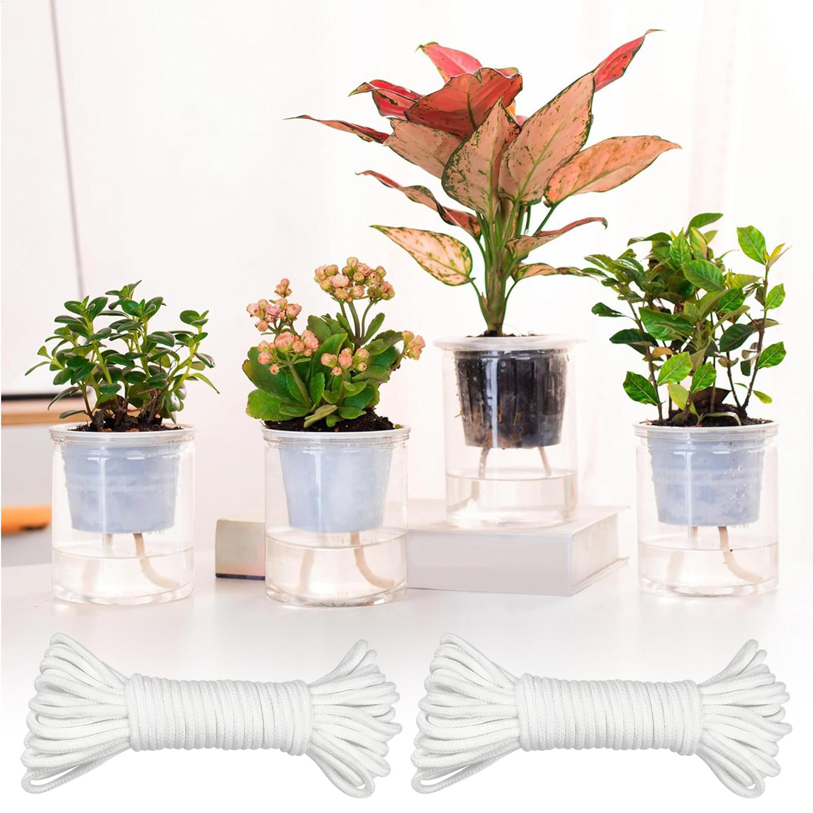 Wkłady do roślin do samodzieln – Self Watering Planter recenzja i cena