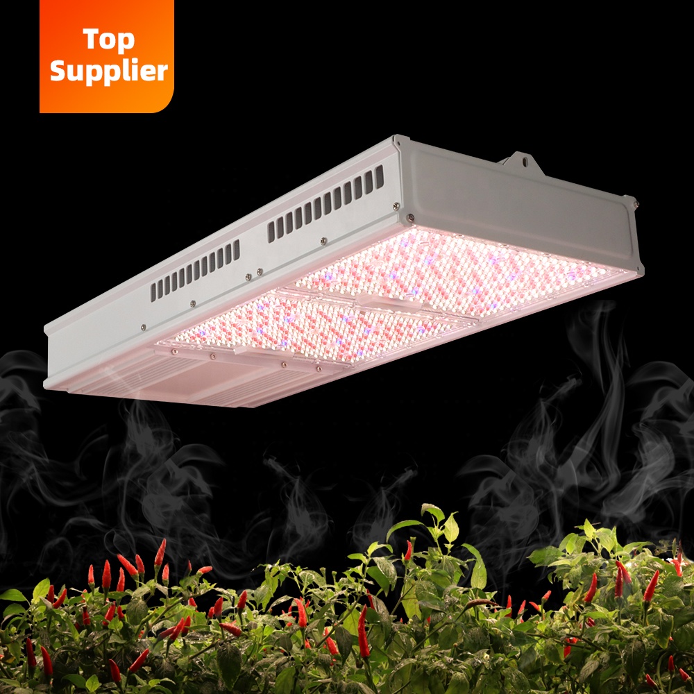 Ekonomiczna lampa LED do upraw – Grow Light Led recenzja i cena