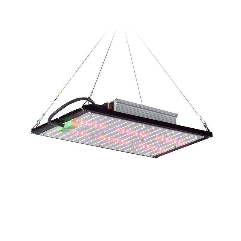 Światło LED Quantum-Board do u – Grow Light Led recenzja i cena