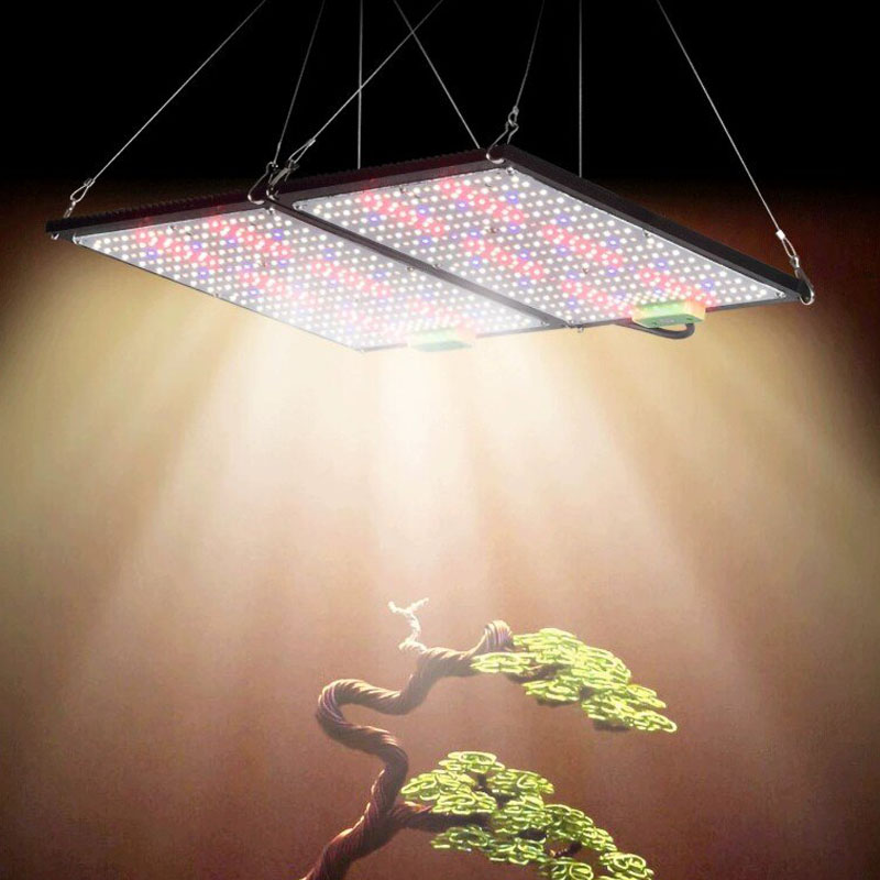 Światło LED Quantum-Board do u – Grow Light Led recenzja i cena