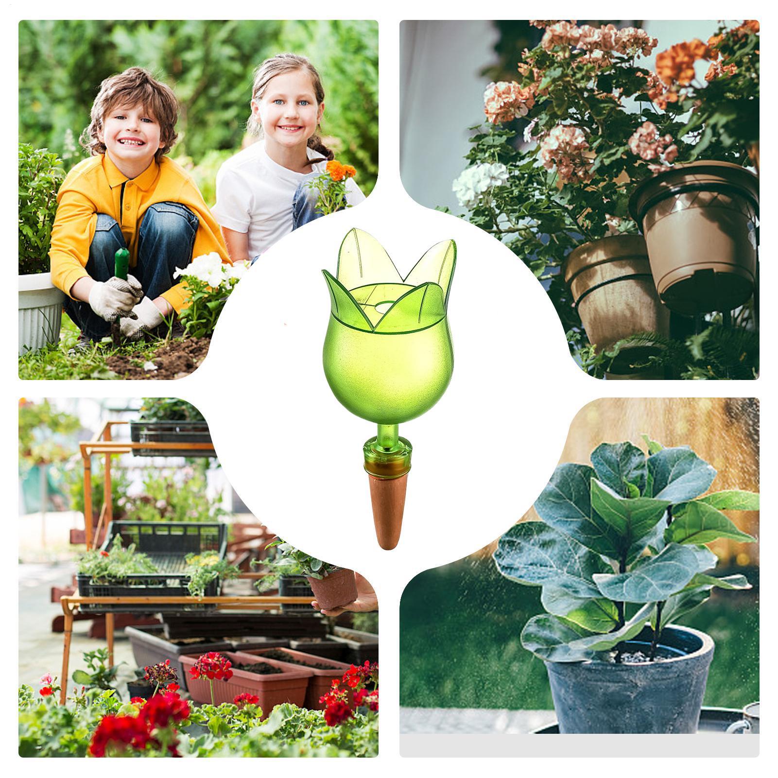 Systemy samonawadniających się – Self Watering Planter recenzja i cena