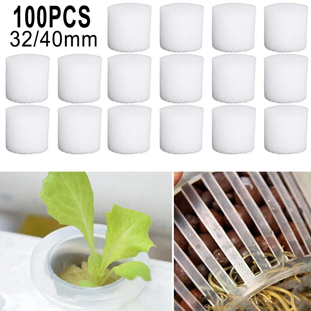 100 szt. Bezglebowa gąbka hydr – Hydroponic Grow Pod recenzja i cena