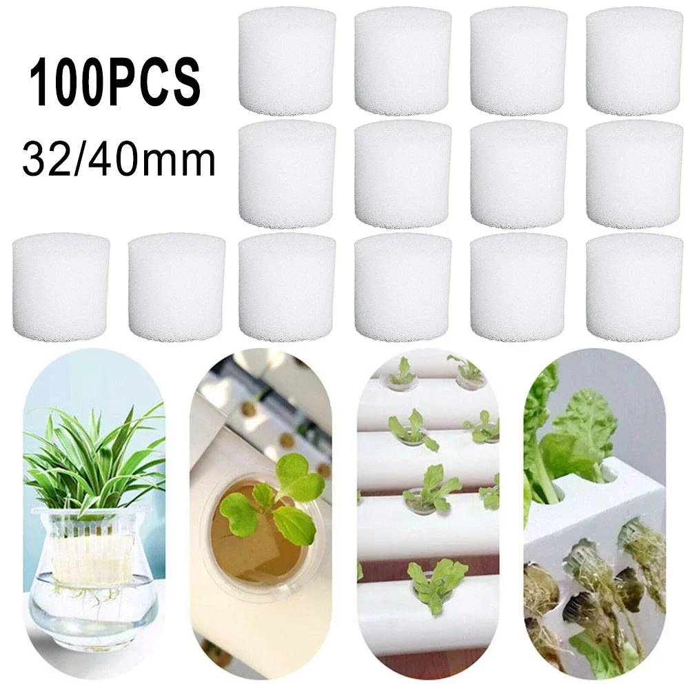 100 szt. Bezglebowa gąbka hydr – Hydroponic Grow Pod recenzja i cena