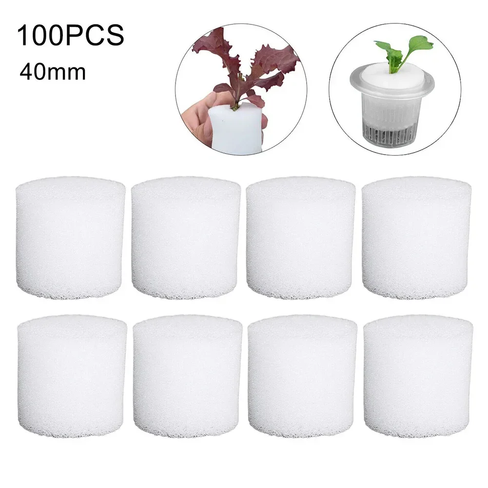 100 szt. Bezglebowa gąbka hydr – Hydroponic Grow Pod recenzja i cena