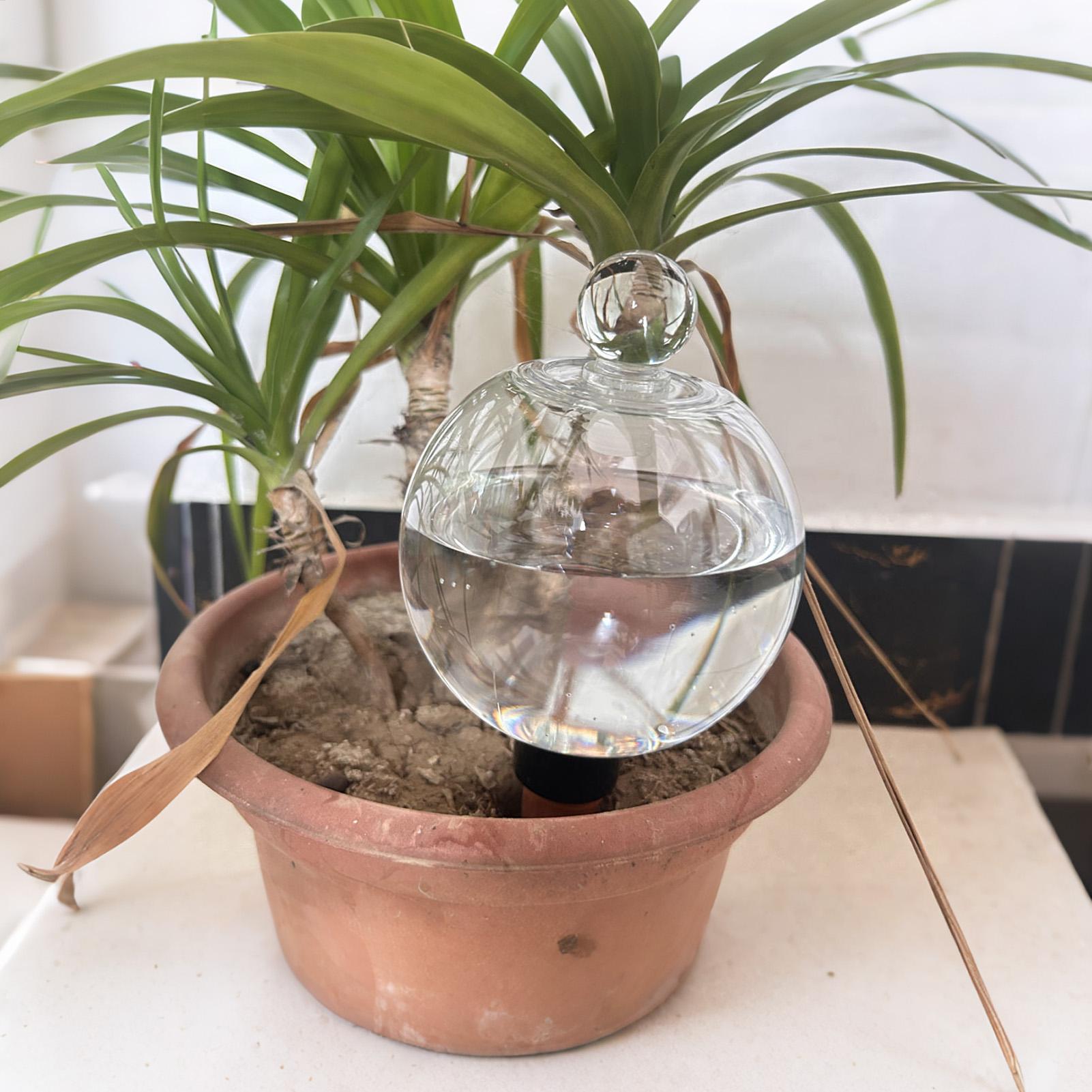 Kule do nawadniania roślin 4 s – Plant Sensor recenzja i cena