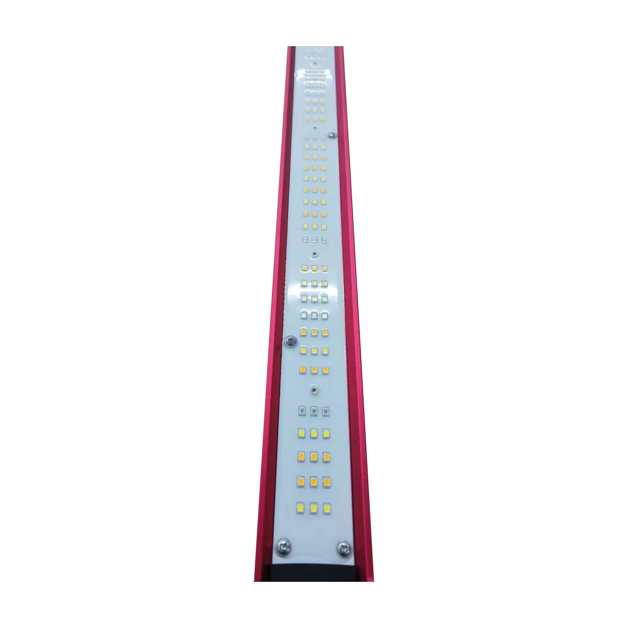 450W 600W 800W 1000Watt Wewnęt – Grow Light Led recenzja i cena