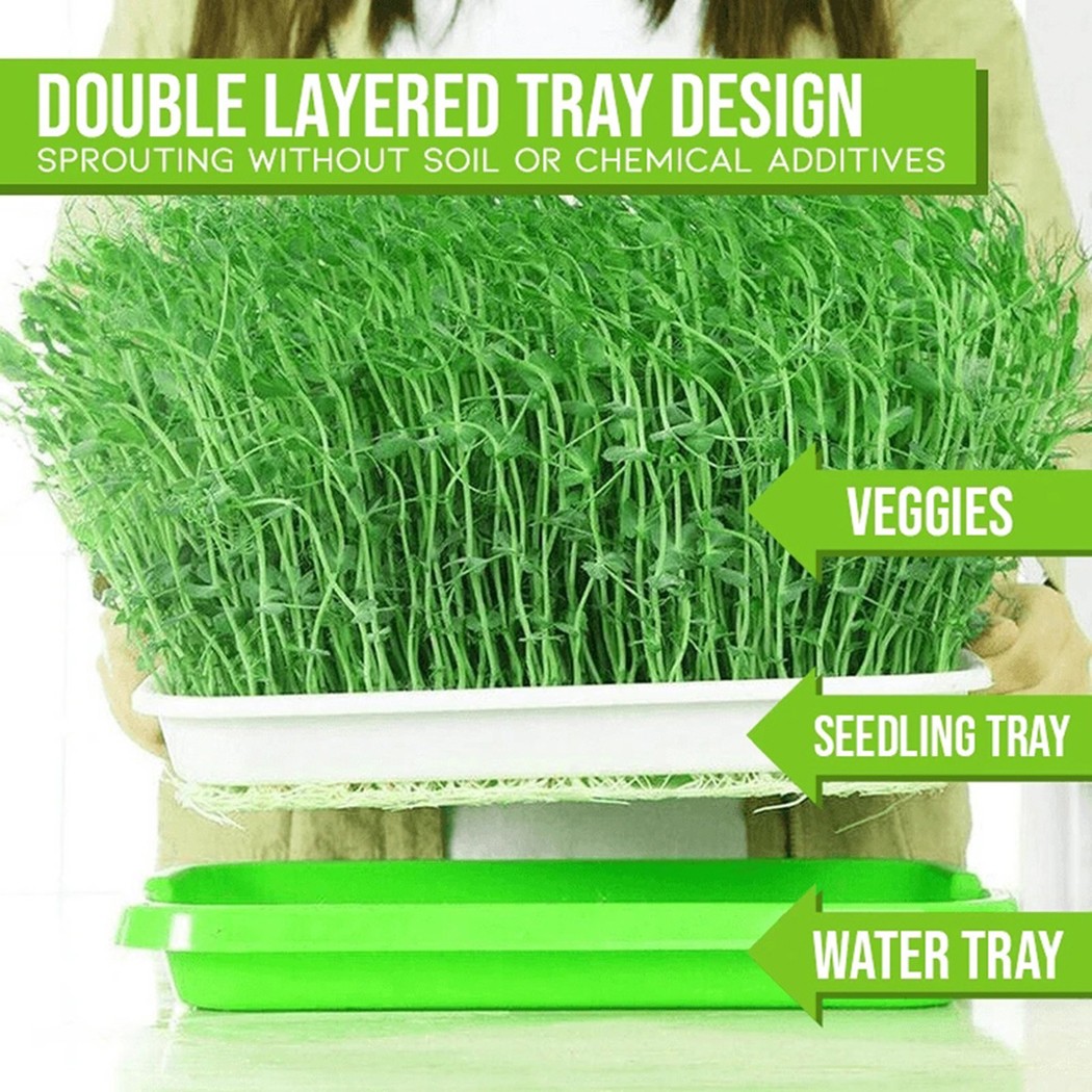 Taca na kiełki Microgreens Hyd – Hydroponic Grow Pod recenzja i cena