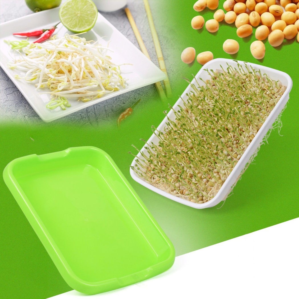 Taca na kiełki Microgreens Hyd – Hydroponic Grow Pod recenzja i cena