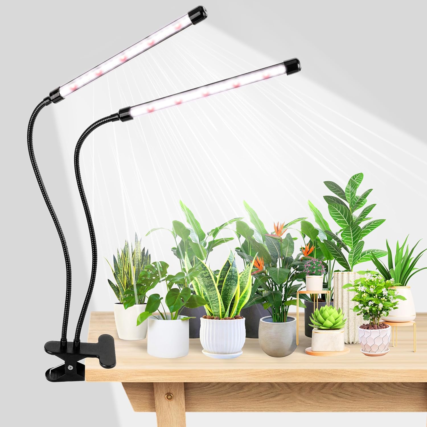 KEBINCPLED USB 5V Lampa LED do – Hydroponic Grow Pod recenzja i cena