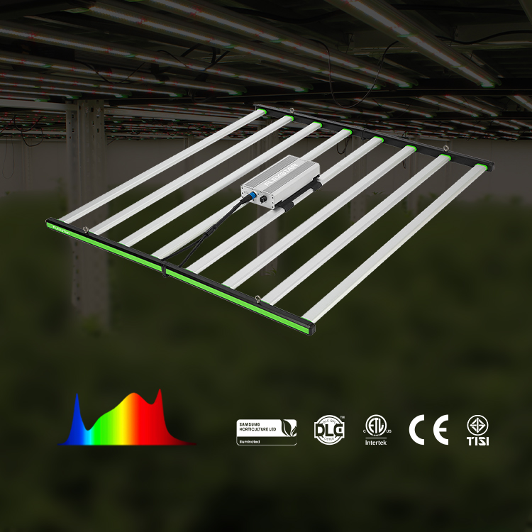 Lm301h Evo 281b Pełnospektraln – Grow Light Led recenzja i cena