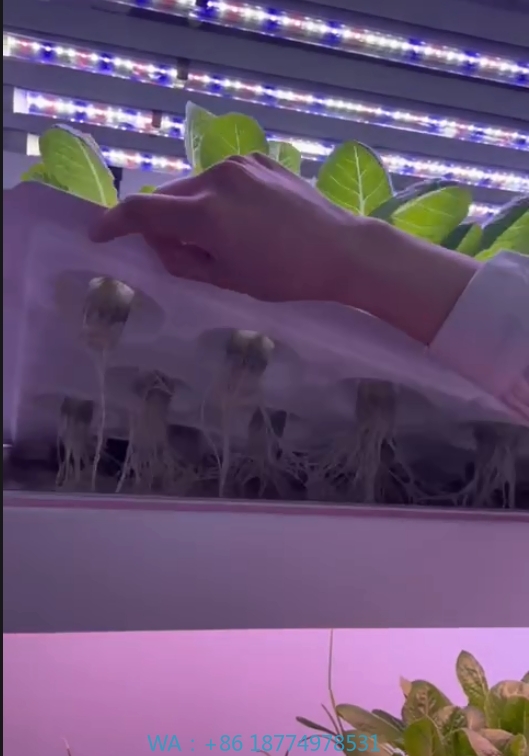 System hydroponiczny wieżowy d – Hydroponic Tower recenzja i cena