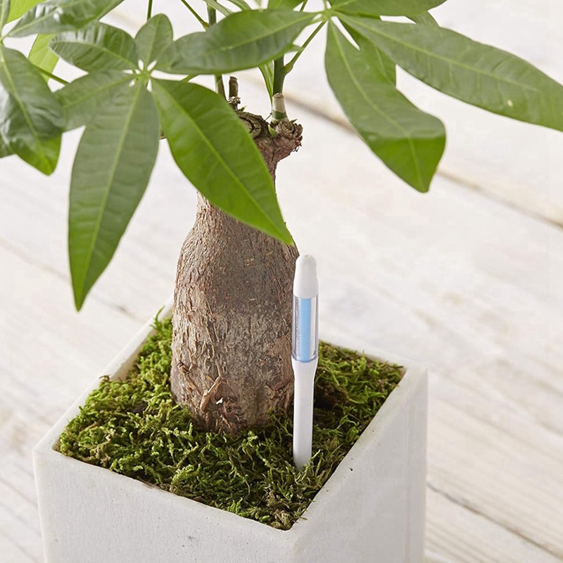 Aquameter, 5 sztuk, czujnik wi – Plant Sensor recenzja i cena