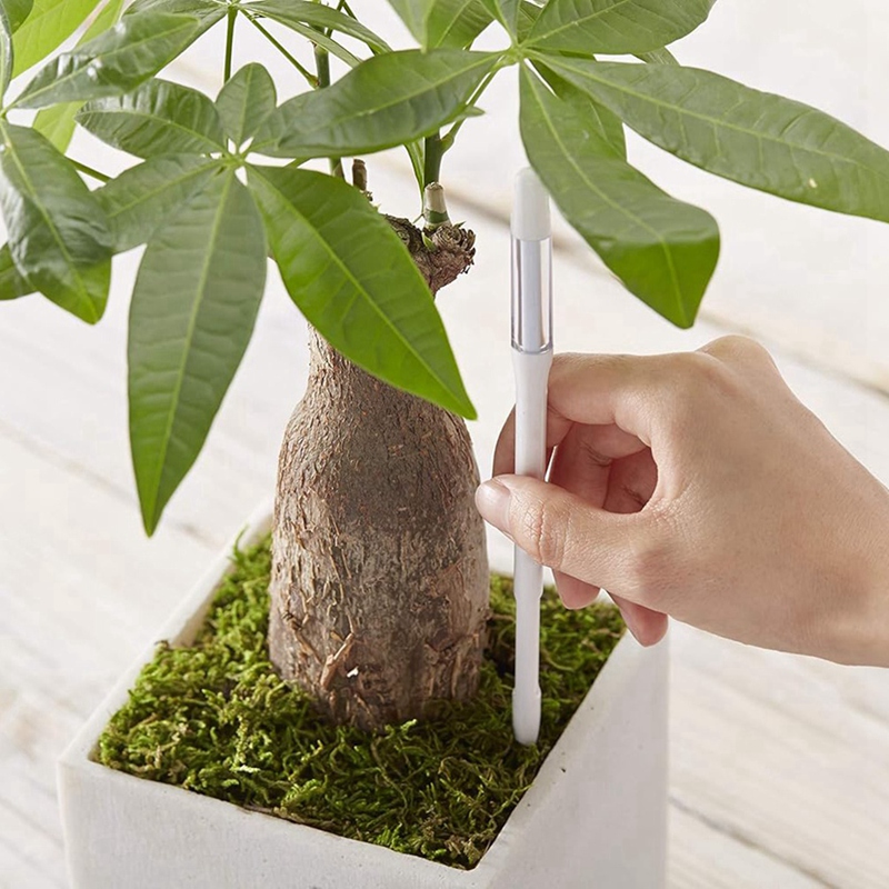 Aquameter, 5 sztuk, czujnik wi – Plant Sensor recenzja i cena