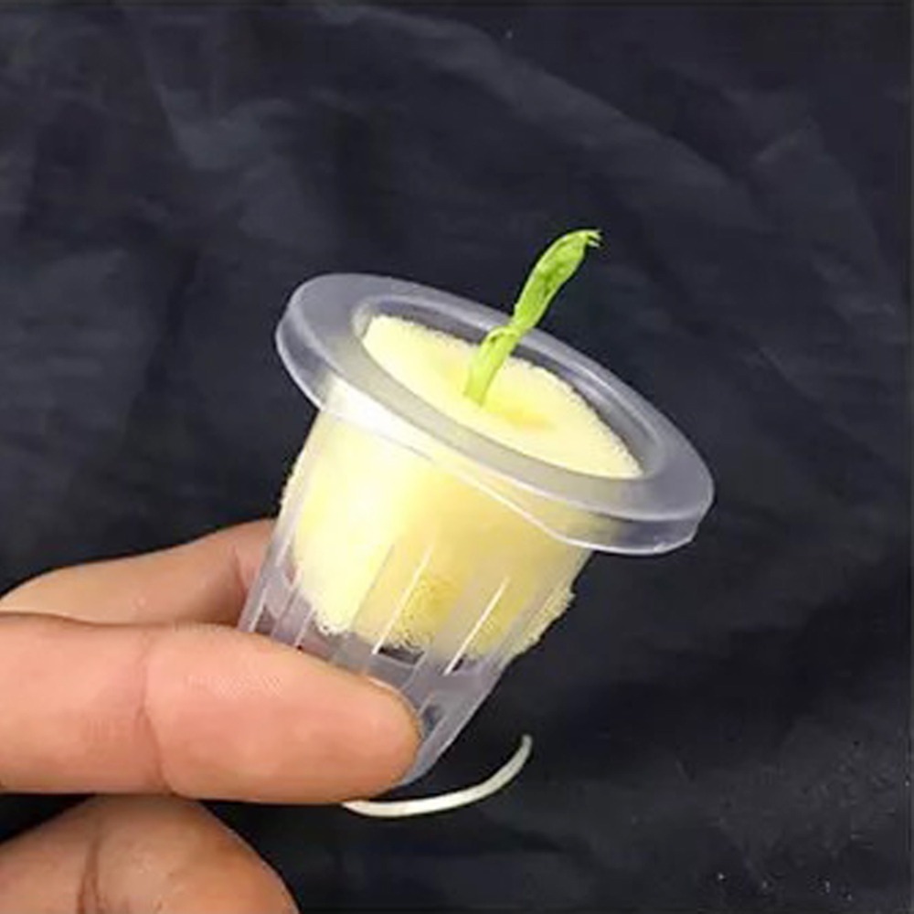 10 szt. Siatkowych kubków hydr – Hydroponic Grow Pod recenzja i cena