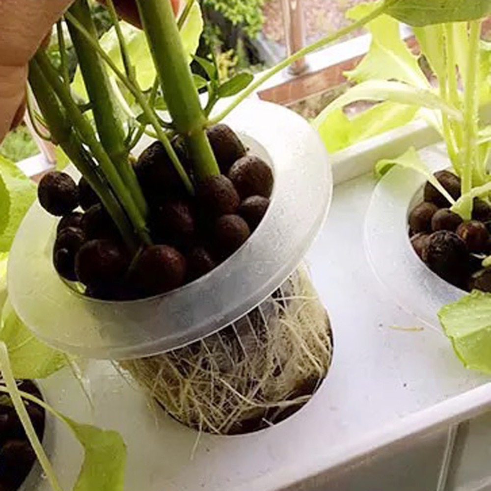 10 szt. Siatkowych kubków hydr – Hydroponic Grow Pod recenzja i cena