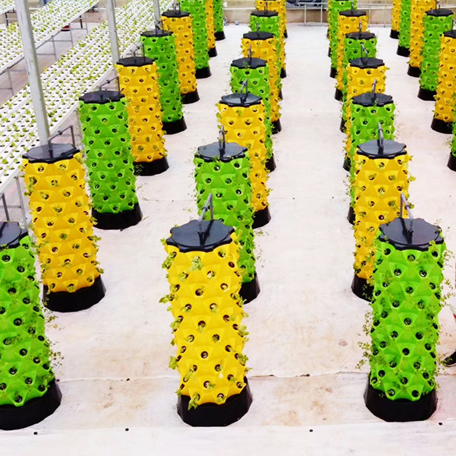NOWOŚĆ: System hydroponiczny w – Indoor Garden Kit recenzja i cena