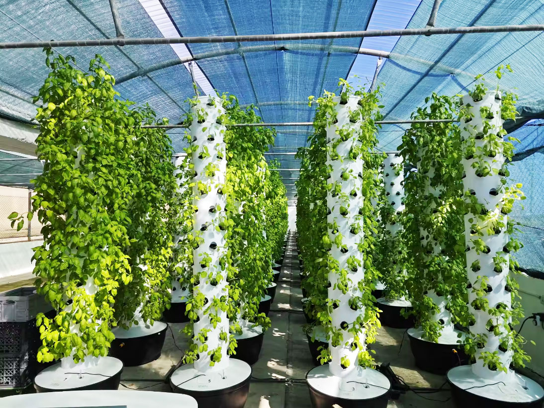 Wysokiej jakości, łatwy w mont – Hydroponic Tower recenzja i cena