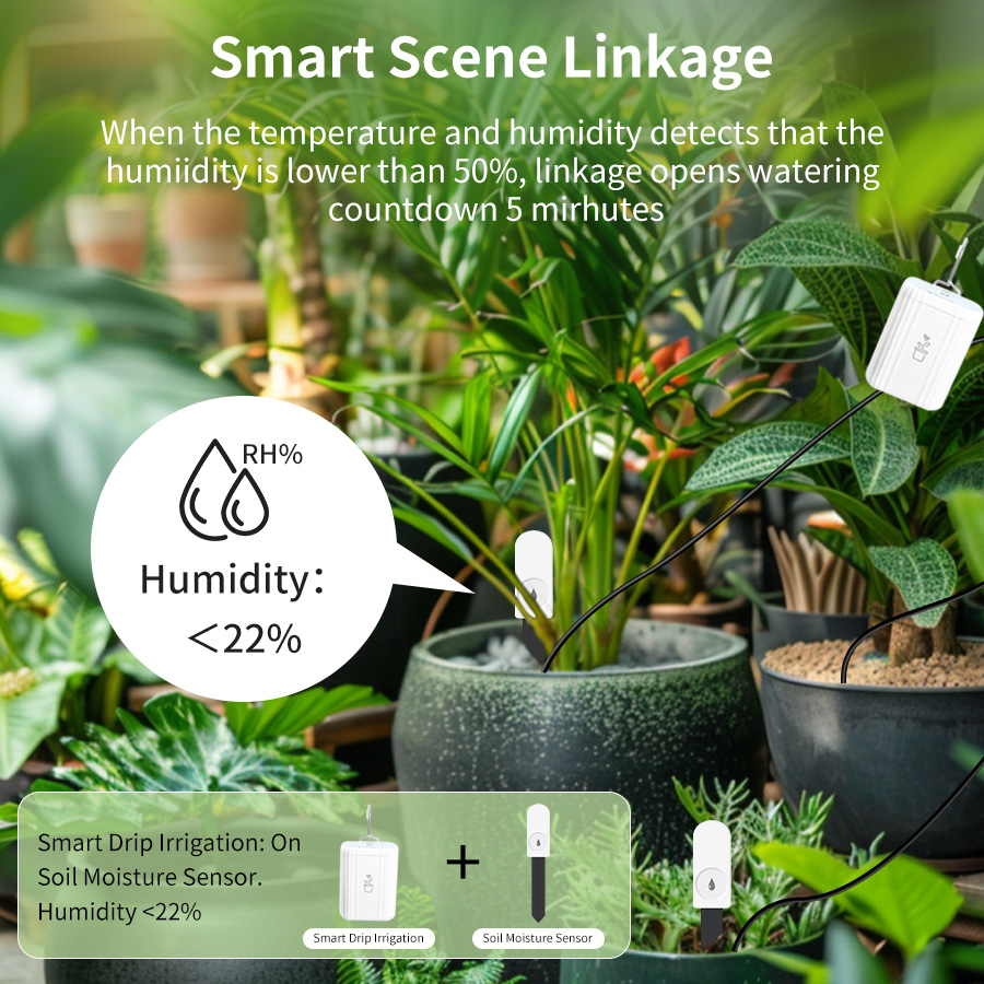 Inteligentny tester gleby Zigb – Plant Sensor recenzja i cena