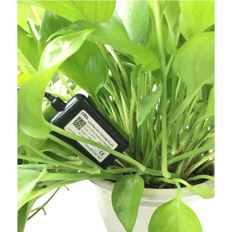 Sonda pomiarowa wilgotności gl – Plant Sensor recenzja i cena