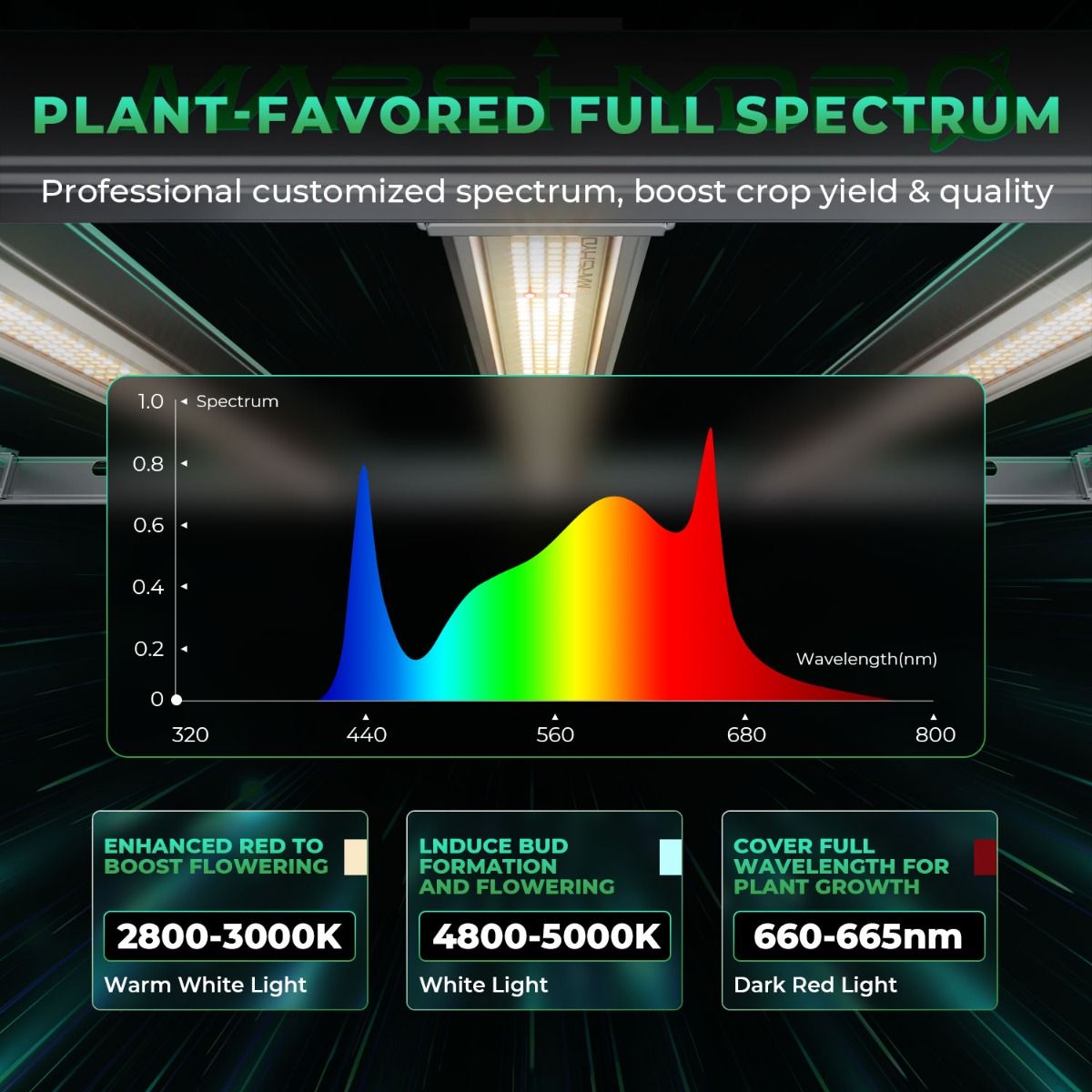 800W Mars Hydro FC-E8000 Najle – Grow Light Led recenzja i cena