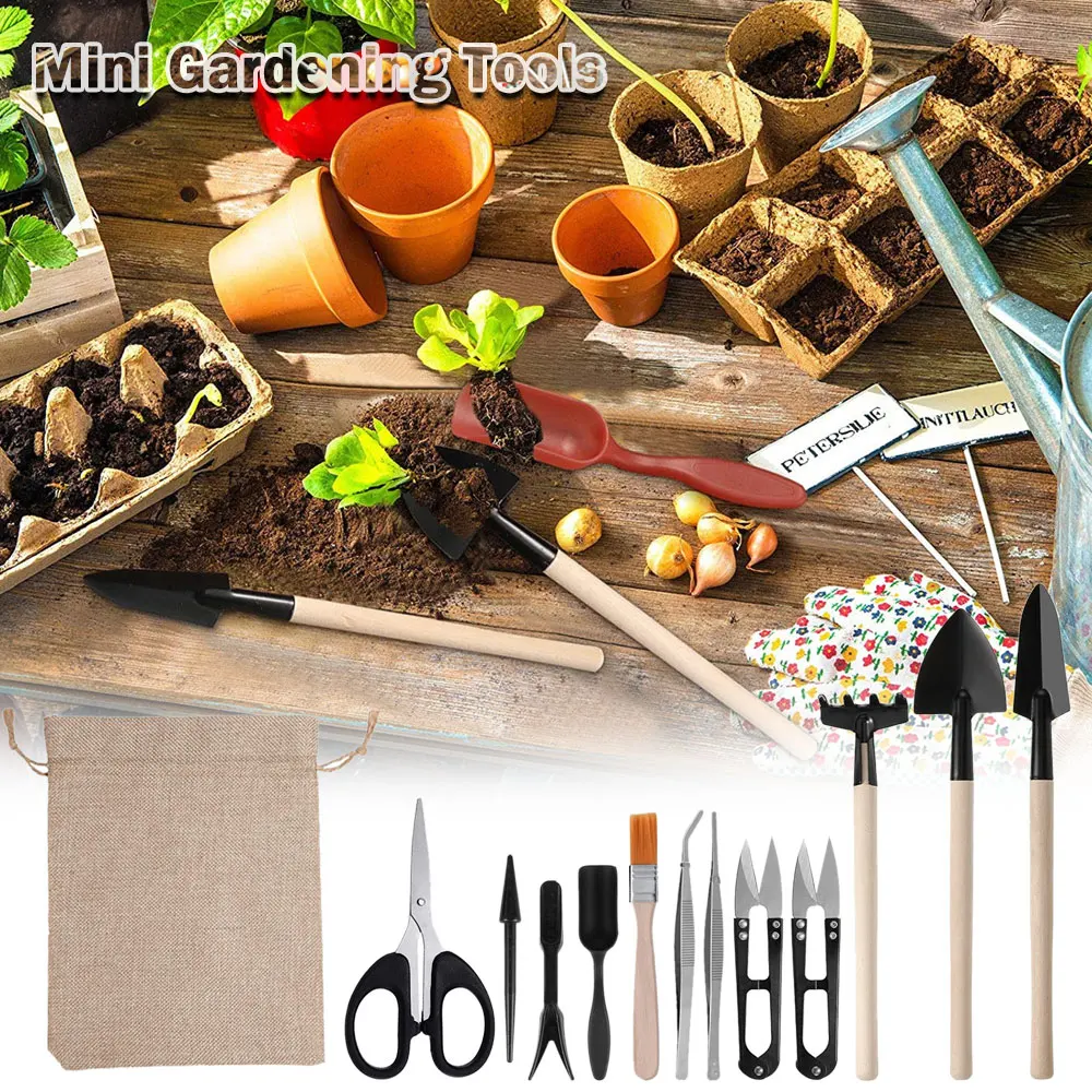 13 szt. Zestaw narzędzi sukule – Indoor Garden Kit recenzja i cena