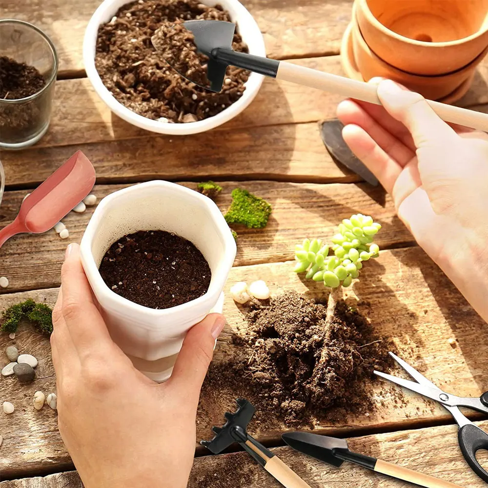 13 szt. Zestaw narzędzi sukule – Indoor Garden Kit recenzja i cena