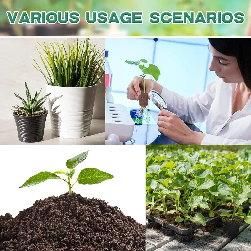Zestaw gąbek startowych do sad – Indoor Garden Kit recenzja i cena