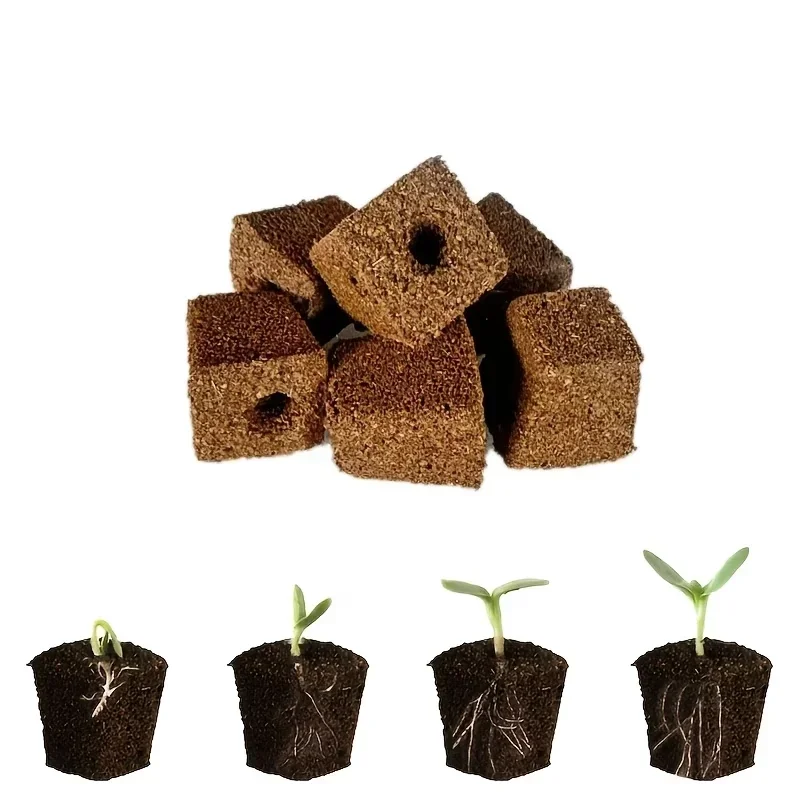 Zestaw gąbek startowych do sad – Indoor Garden Kit recenzja i cena