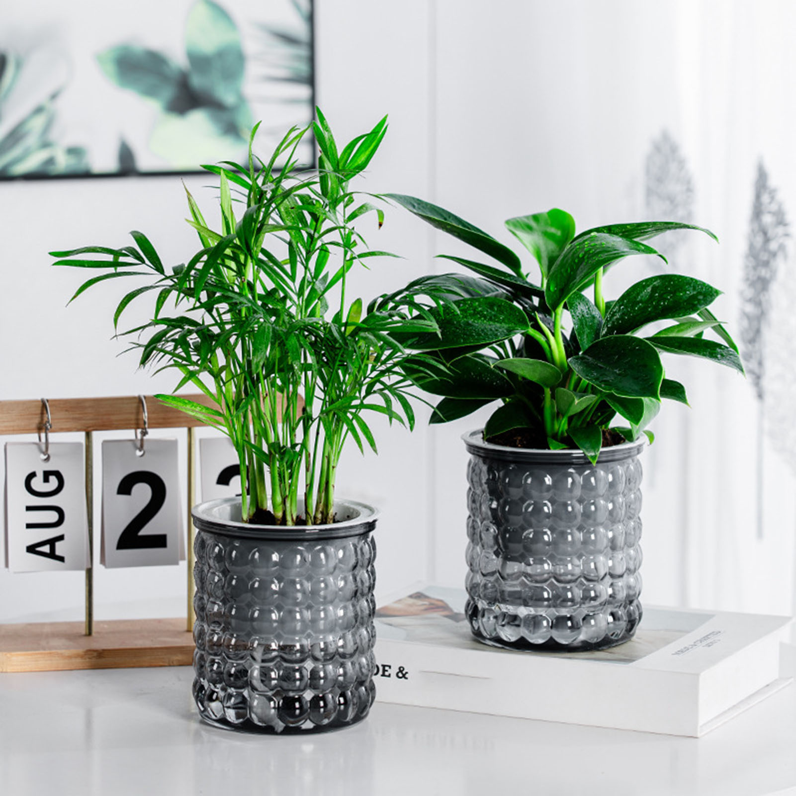 Nowa samonawadniająca się doni – Hydroponic Grow Pod recenzja i cena