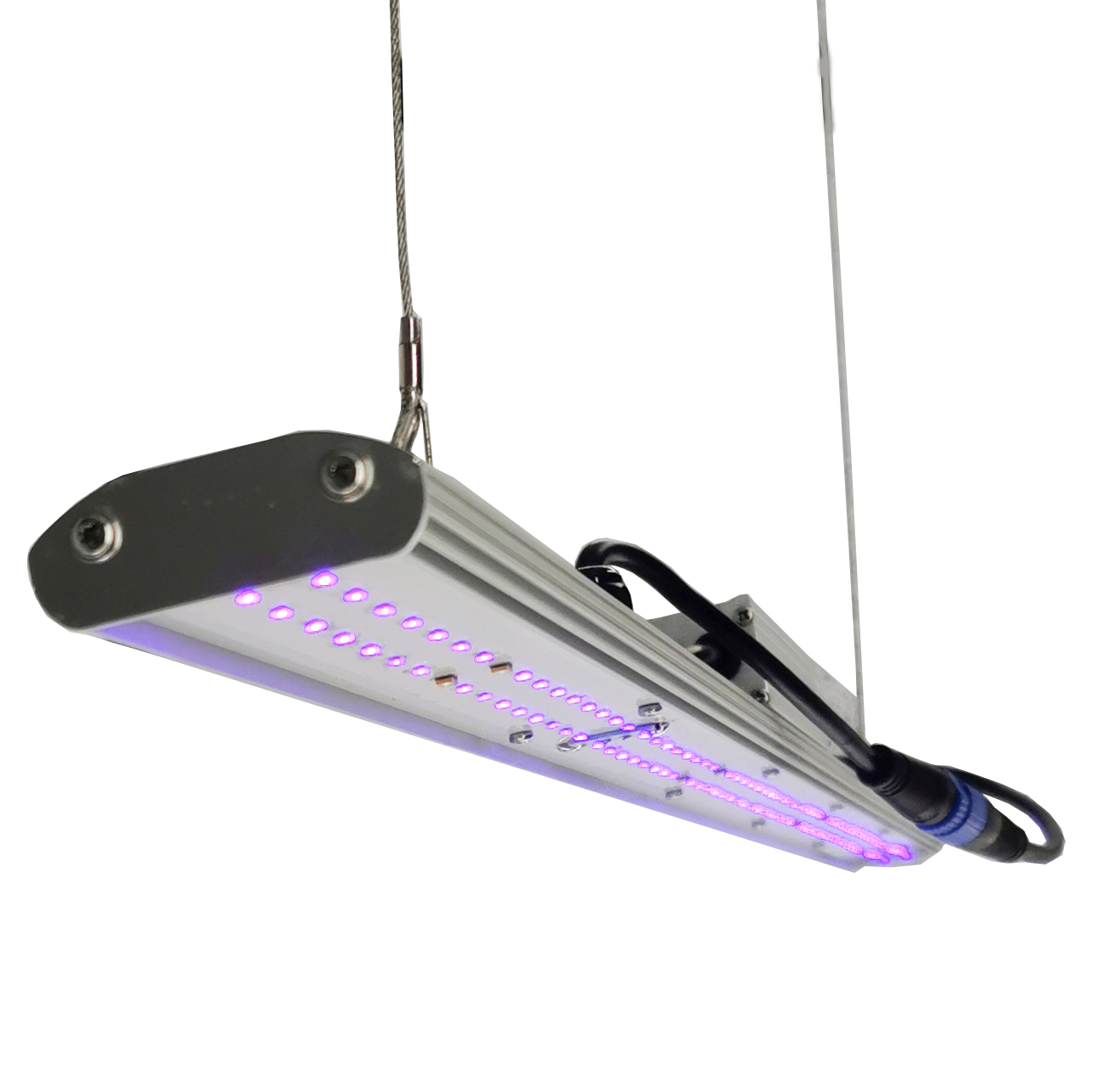DANSE LED Manualny Ściemniacz  – Grow Light Led recenzja i cena