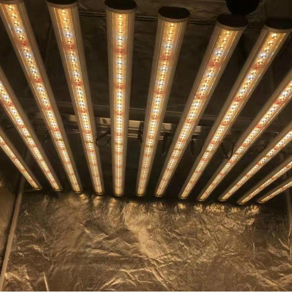 LUX Chińska Fabryka Oświetleni – Grow Light Led recenzja i cena