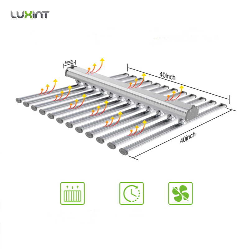 LUX Chińska Fabryka Oświetleni – Grow Light Led recenzja i cena