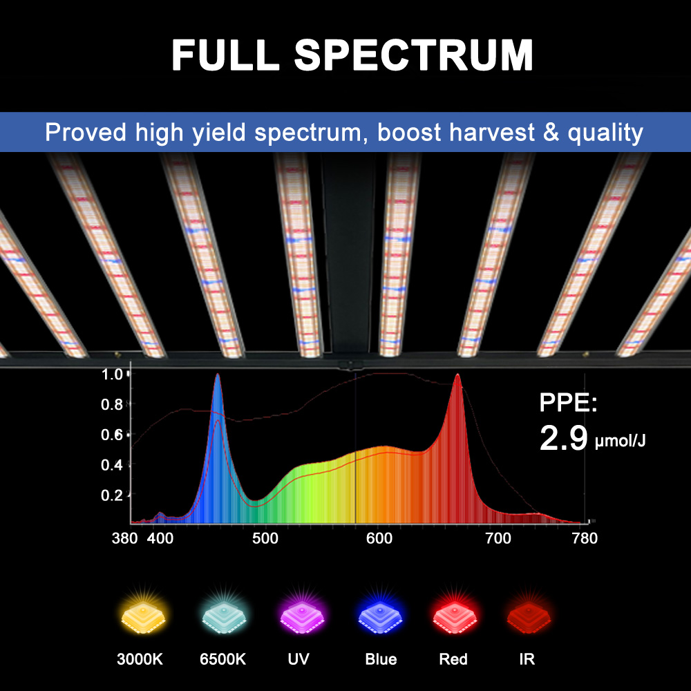 SLTMAKS 8x6FT 4X6FT 1000W Lamp – Grow Light Led recenzja i cena