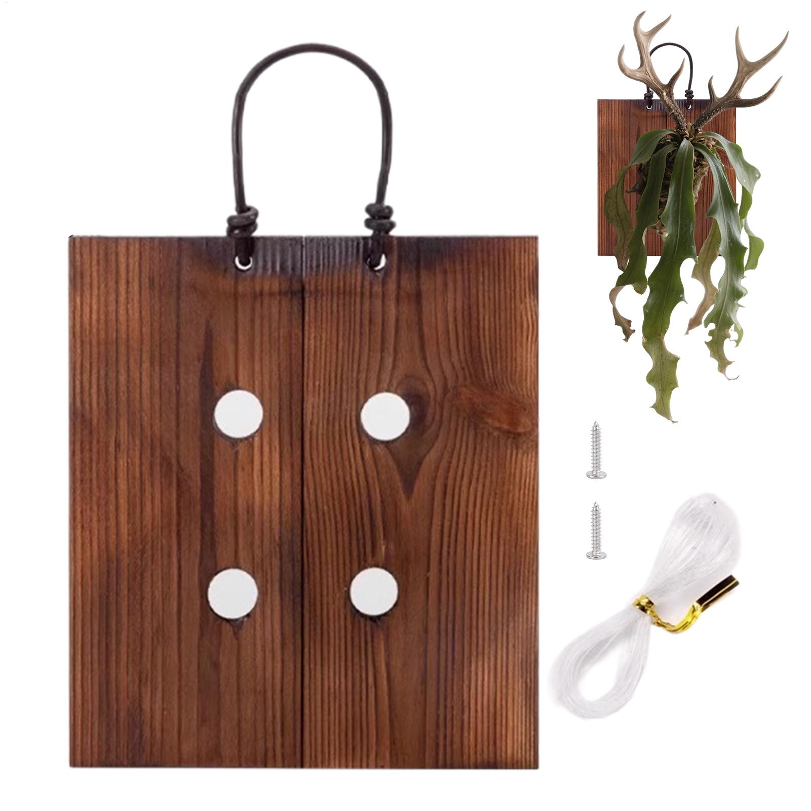 Drewniana półka ścienna na pap – Indoor Garden Kit recenzja i cena