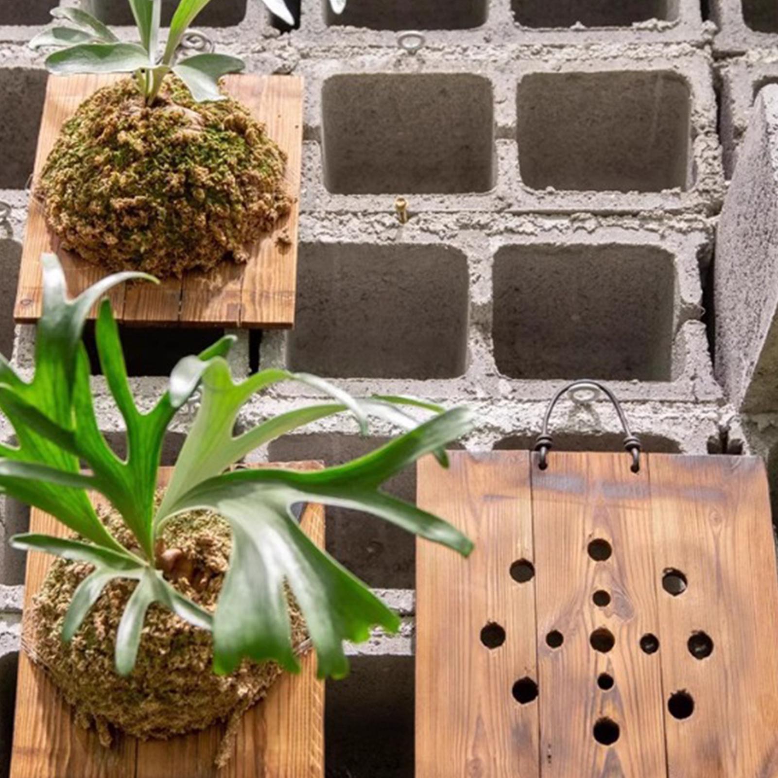 Drewniana półka ścienna na pap – Indoor Garden Kit recenzja i cena