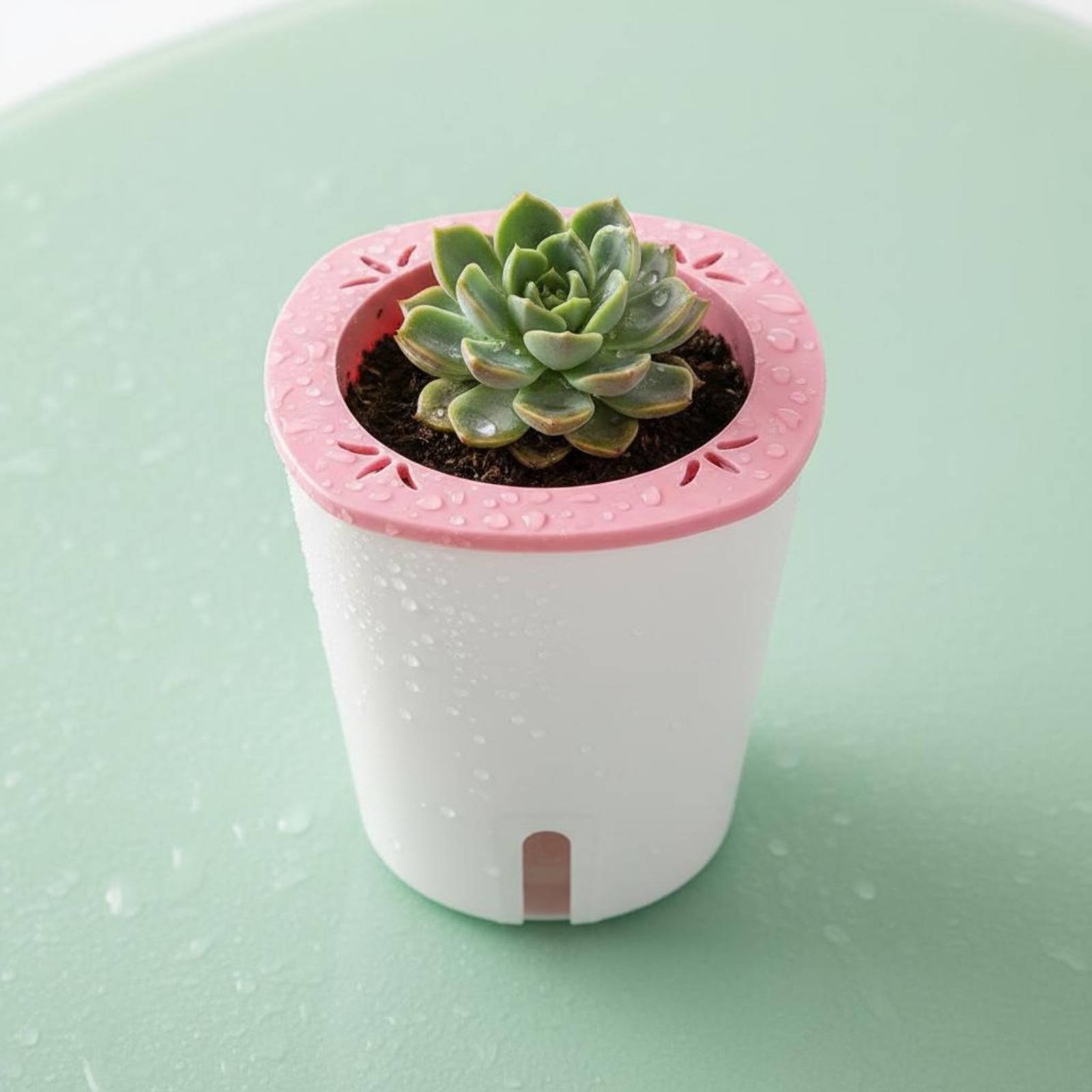 Samonawadniająca doniczka duża – Self Watering Planter recenzja i cena