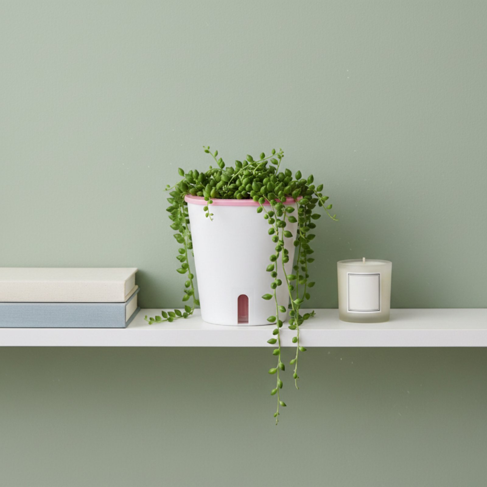 Samonawadniająca doniczka duża – Self Watering Planter recenzja i cena