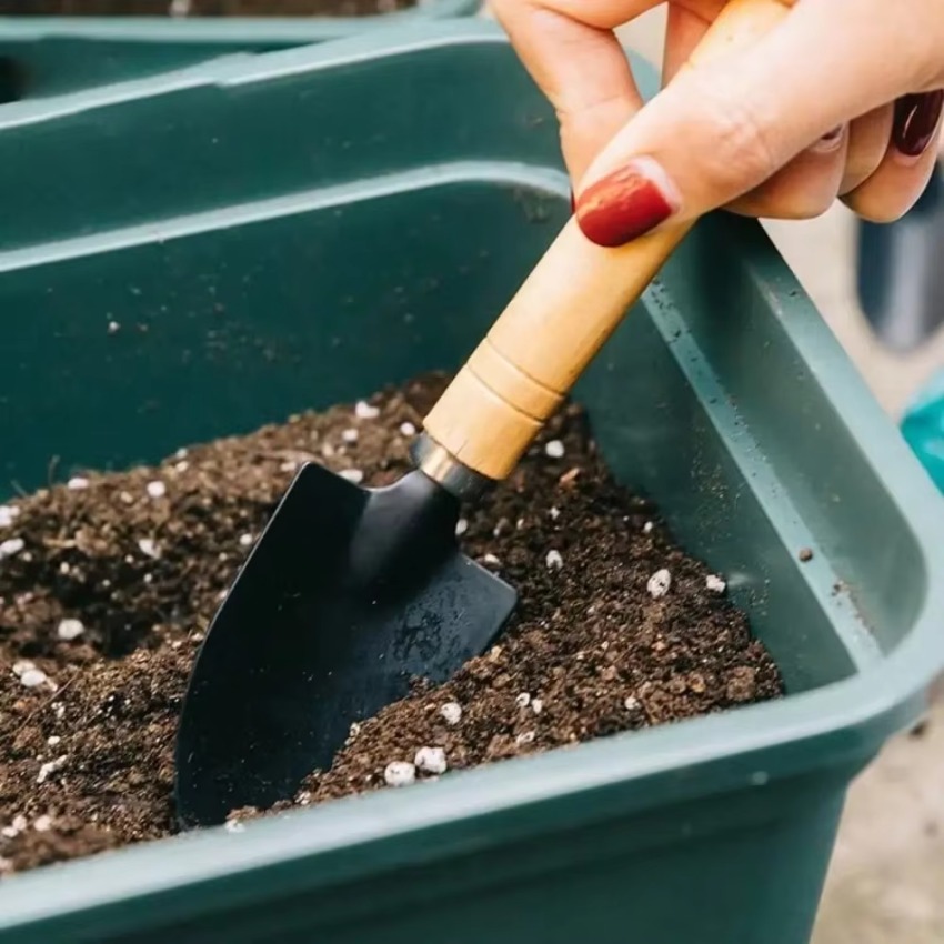 3 szt./zestaw Mini Zestaw Narz – Indoor Garden Kit recenzja i cena