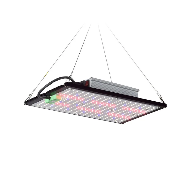 Światło LED Quantum-Board do u – Grow Light Led recenzja i cena