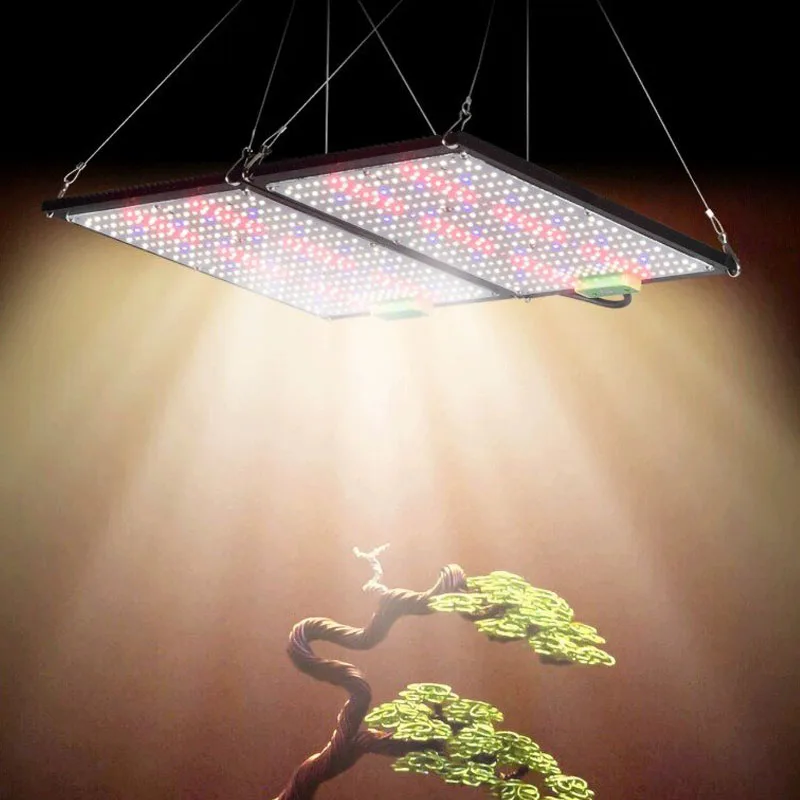 Światło LED Quantum-Board do u – Grow Light Led recenzja i cena